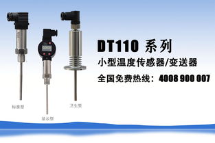 DT110系列小型温度传感器与变送器 技术解析与应用指南